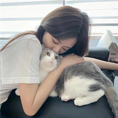 八星报喜粤语